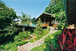 9 beautiful bungalows
