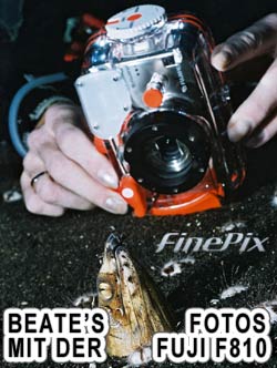 more photos with Fuji FinePix F810