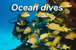 Ocean dives
