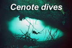 Cenotes