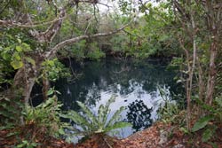 Cenote Angelita