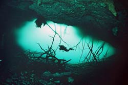 Cenote Dos Ojos